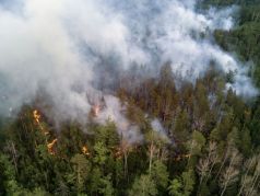 Лесной пожар в Бичурском районе Бурятии (архив). Фото: Валерий Мельников / РИА Новости